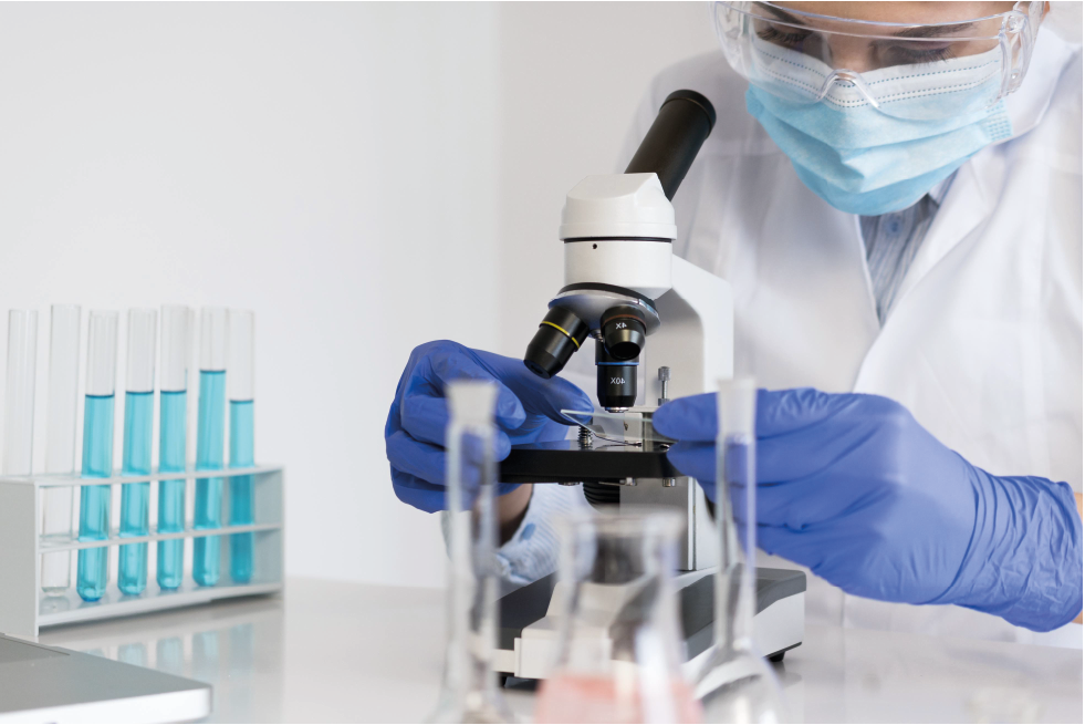 Microbiología de los Alimentos