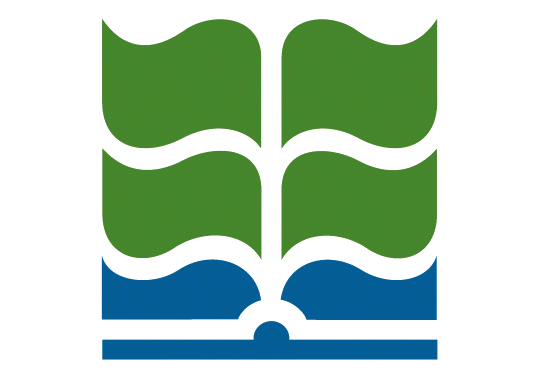 Prácticas De Propagación De Plantas