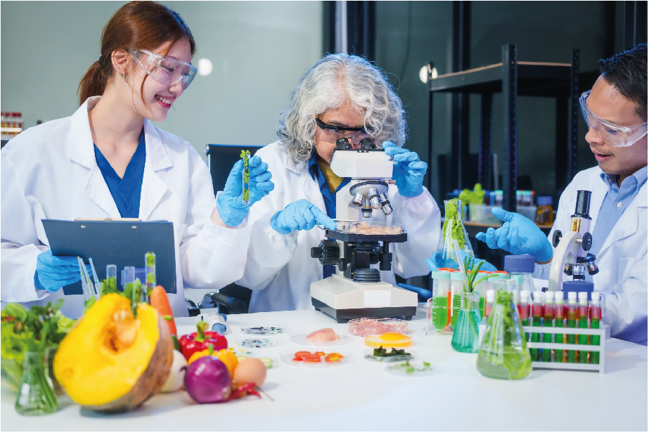 Taller de Implementación de HACCP