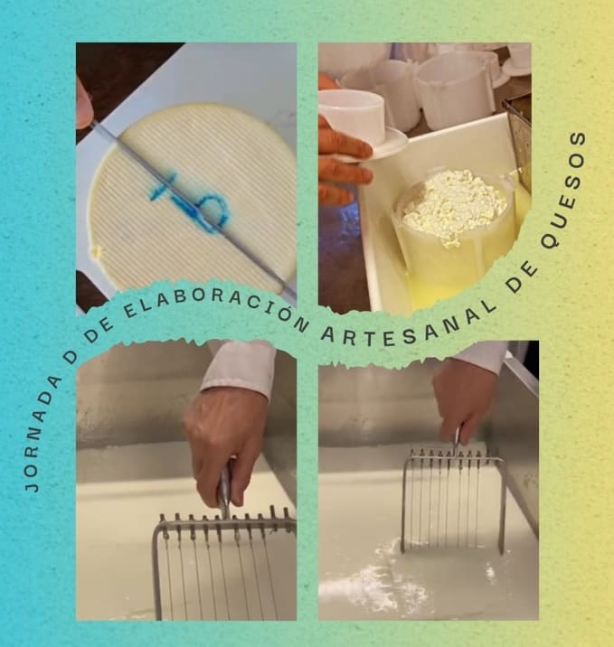 Jornada de Elaboración Artesanal de Queso