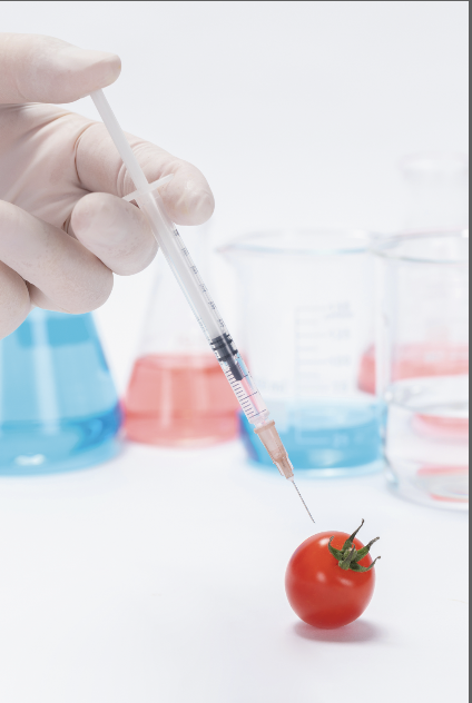 Implementando la Defensa de los Alimentos y la Prevención de Fraude. Un Abordaje Práctico